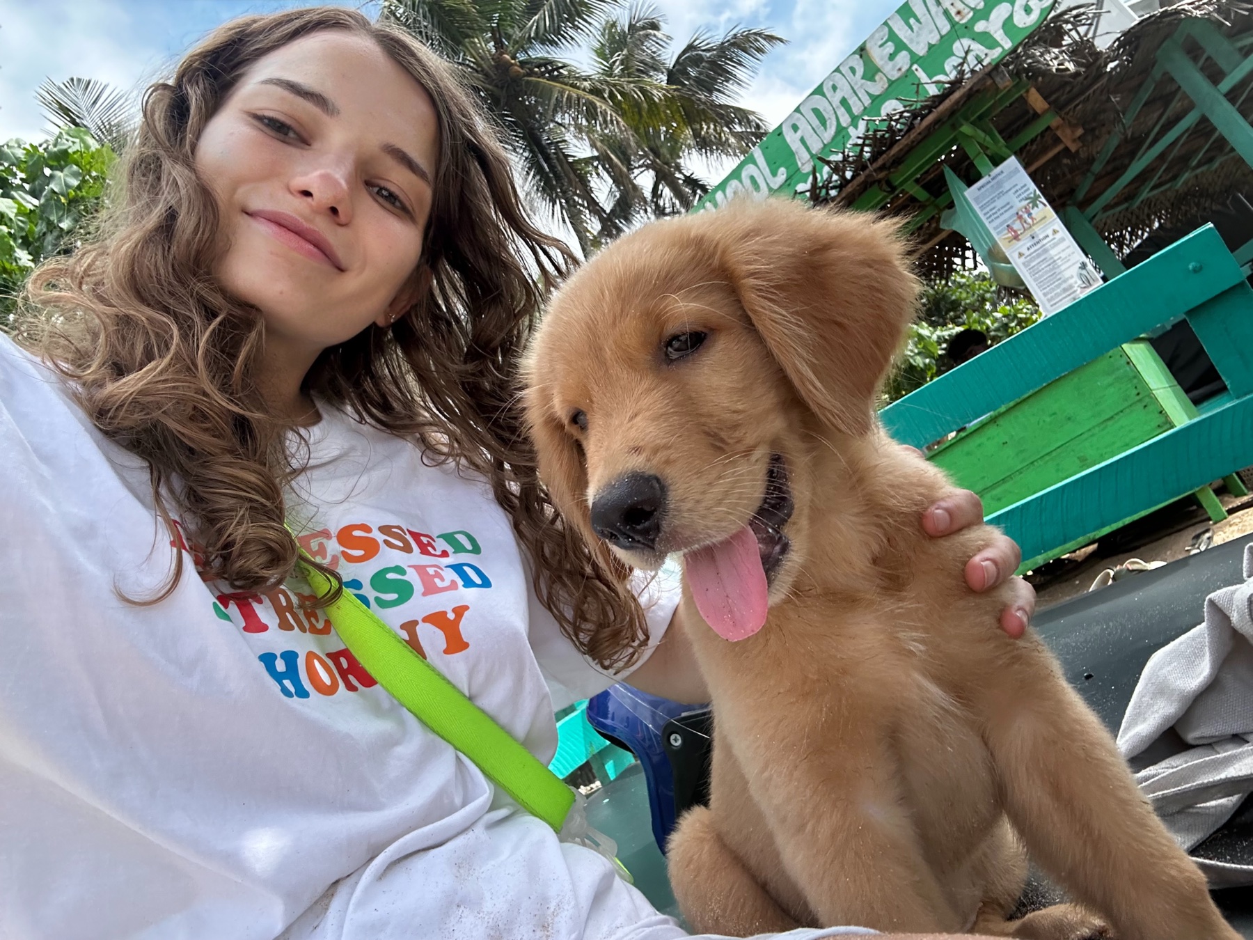 Beach travel photo with puppy